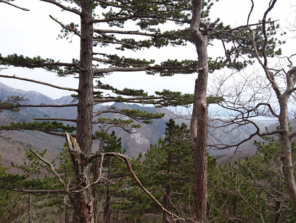 tl_files/rr48_2009/Bilderalben/hike/kroatien_hike_2016/Teaser.JPG